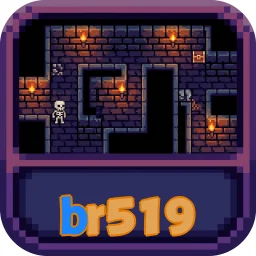 br519